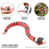 Smart Sensing Snake Tease Toy